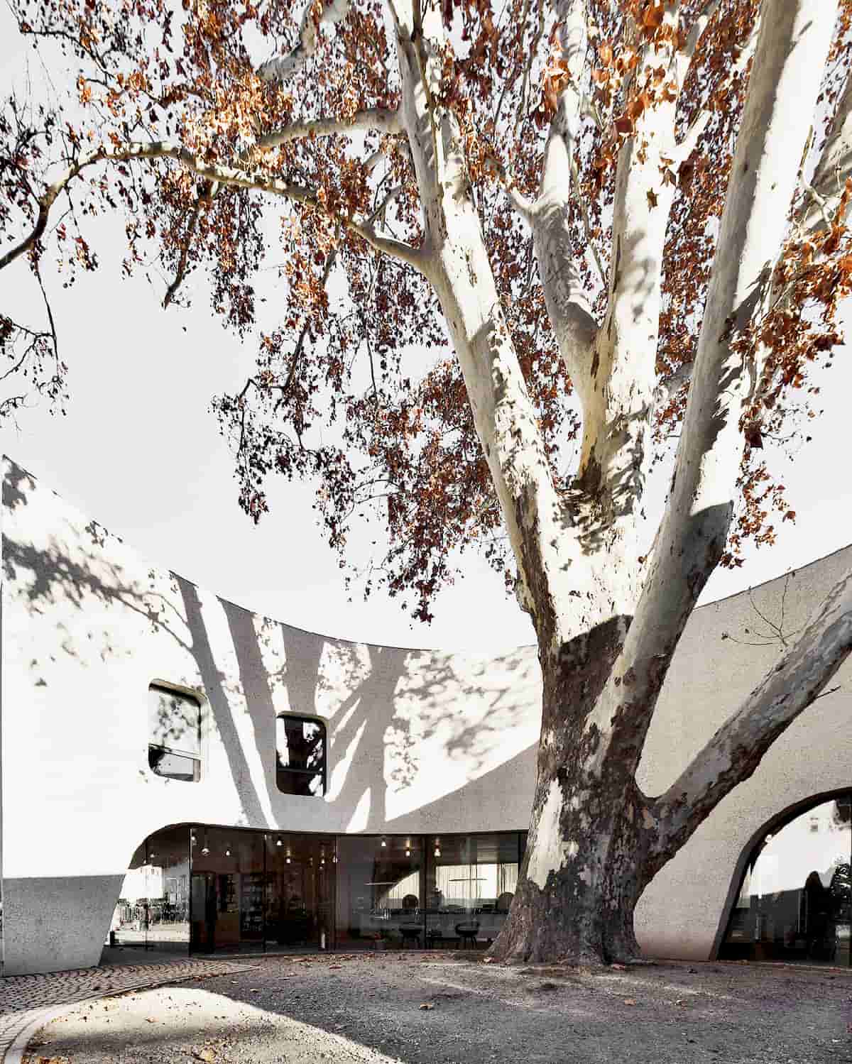 TreeHugger impressive building with levitating above the ground of the lightness its brutalist sensibility