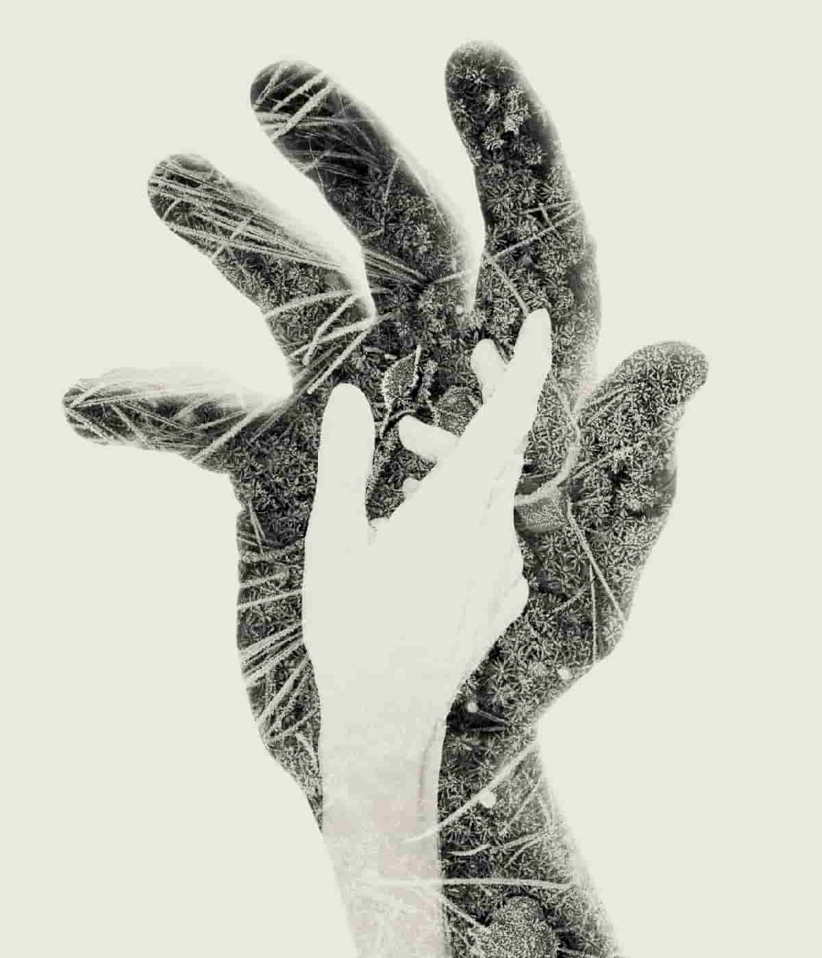 Human Subjects to the [Ongoing Coronavirus] Distorted by Nature in Double-Exposure Photographs by More of Works