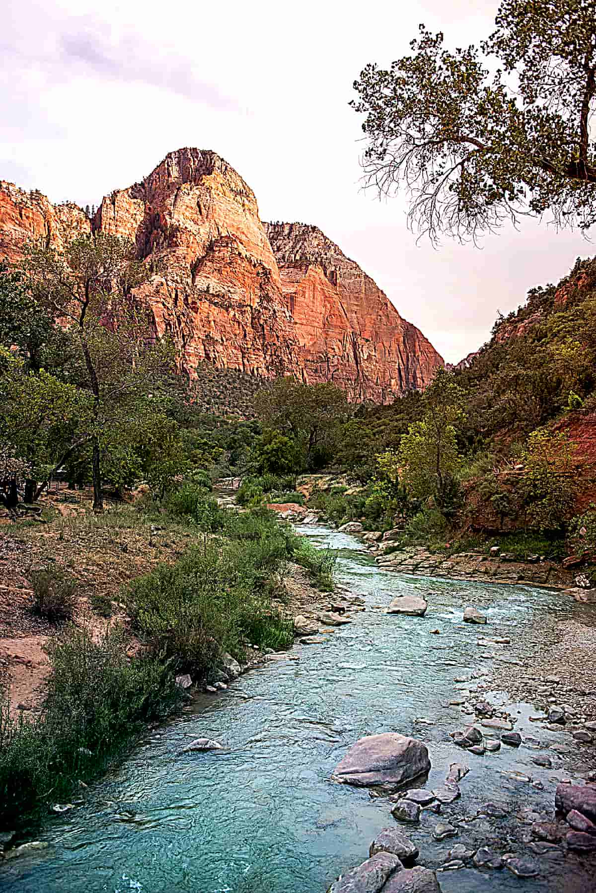 The American west comprising yonder escalante resort kim and nash finley capitol reef national park a mythological destination