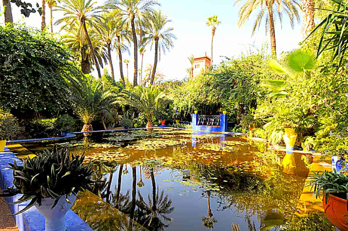 The World’s Most Absolutely Amazing And Beautiful Architecture—Jardin Majorelle in Marrakeech, Morocco