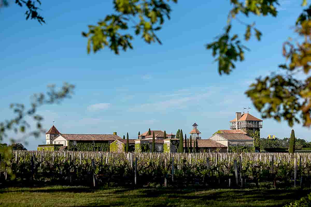 Les Sources de Caudalie: A Luxury Hotel in Bordeaux's Wine Region Celebrates the 'Art de Vivre' with Pastoral Soulfulness