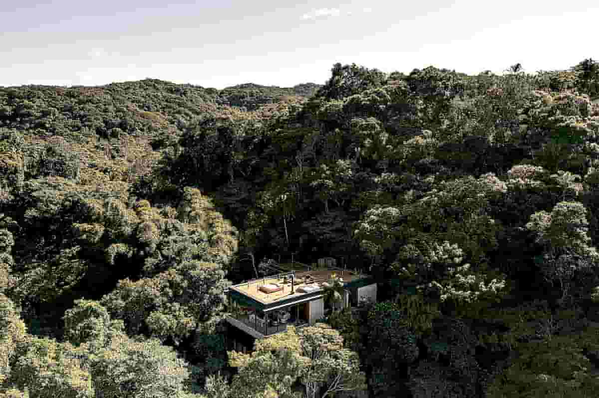 A House Peeking out of Brazil's Atlantic Forest Offers an Elegant Hideaway to Connect with Nature