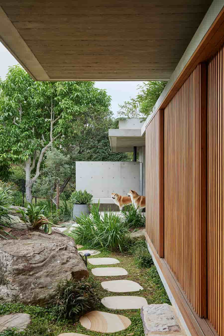 Castlecrag Courtyard: The house provides both a sense of protection and an immersive connection with the natural setting a harmonious blend of architecture and nature 