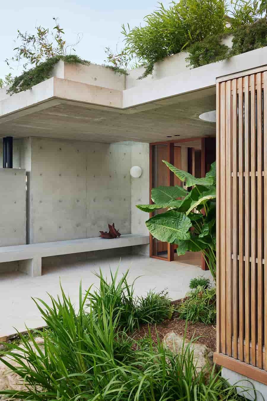 Castlecrag Courtyard: The house provides both a sense of protection and an immersive connection with the natural setting a harmonious blend of architecture and nature 