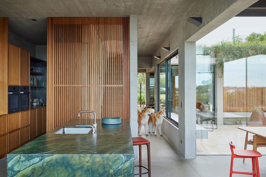 Castlecrag Courtyard: The house provides both a sense of protection and an immersive connection with the natural setting a harmonious blend of architecture and nature 