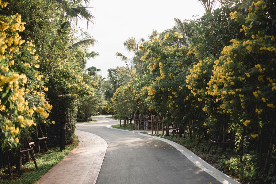 Rakxa Wellness Retreat, Bangkok: A Haven for Holistic Luxury and Longevity