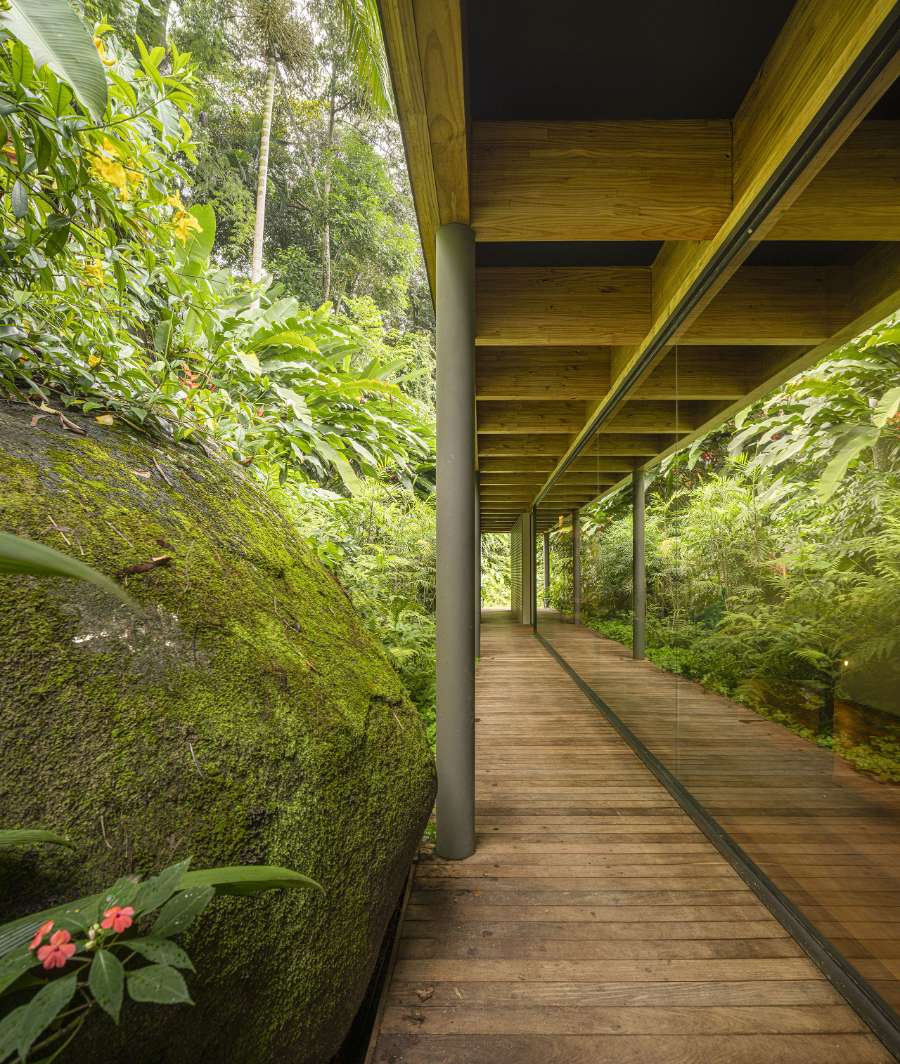 AEA House: A Thoughtful Fusion of Architecture, Nature, and Summer Living in Brazil