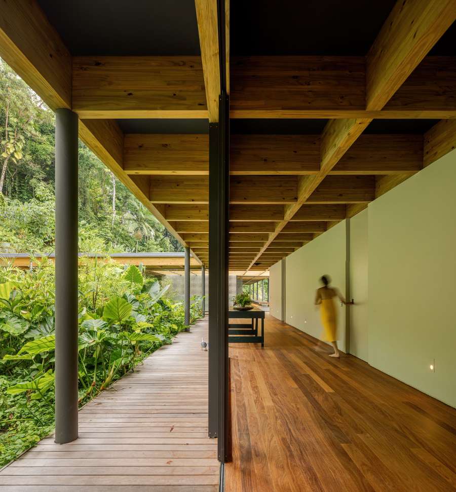 AEA House: A Thoughtful Fusion of Architecture, Nature, and Summer Living in Brazil