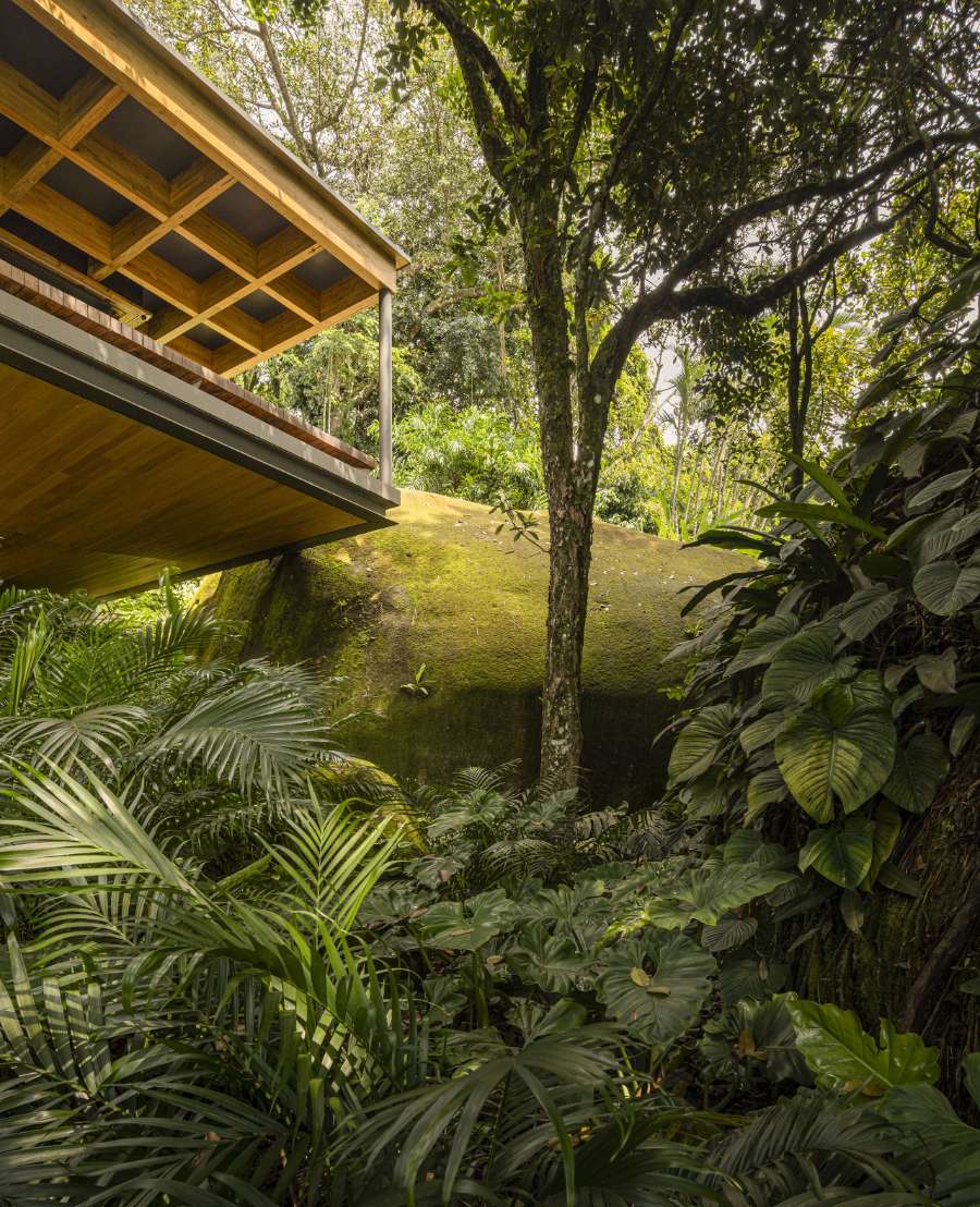 AEA House: A Thoughtful Fusion of Architecture, Nature, and Summer Living in Brazil