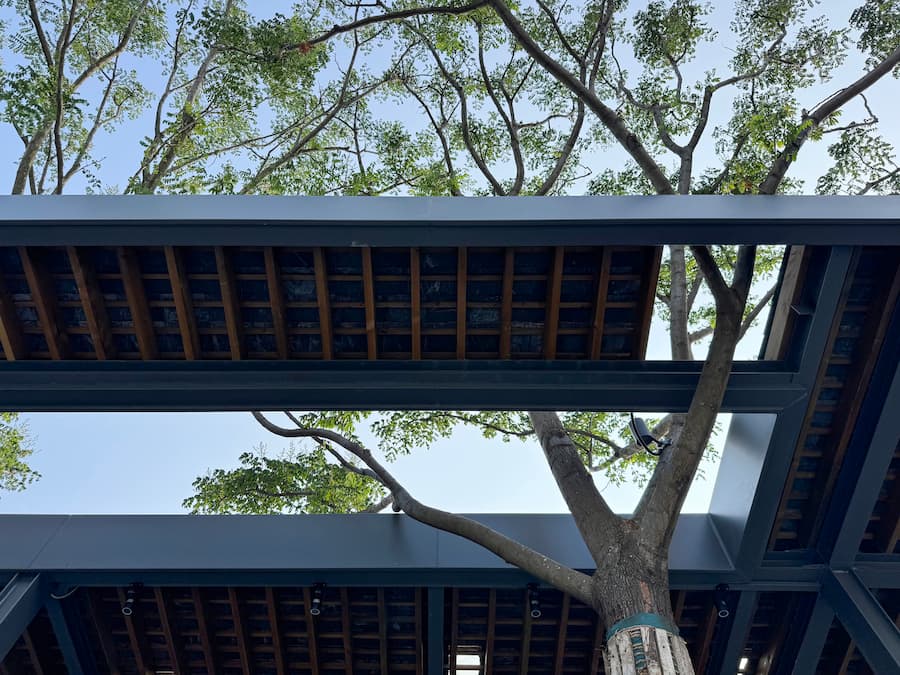 蓬蓬小館每一口都是味蕾的非凡旅程