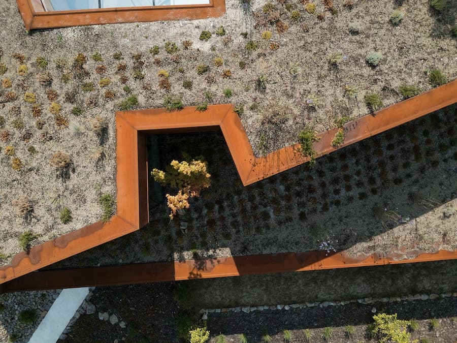 roof landscape pattern with vegetation growing across corten steel surfaces