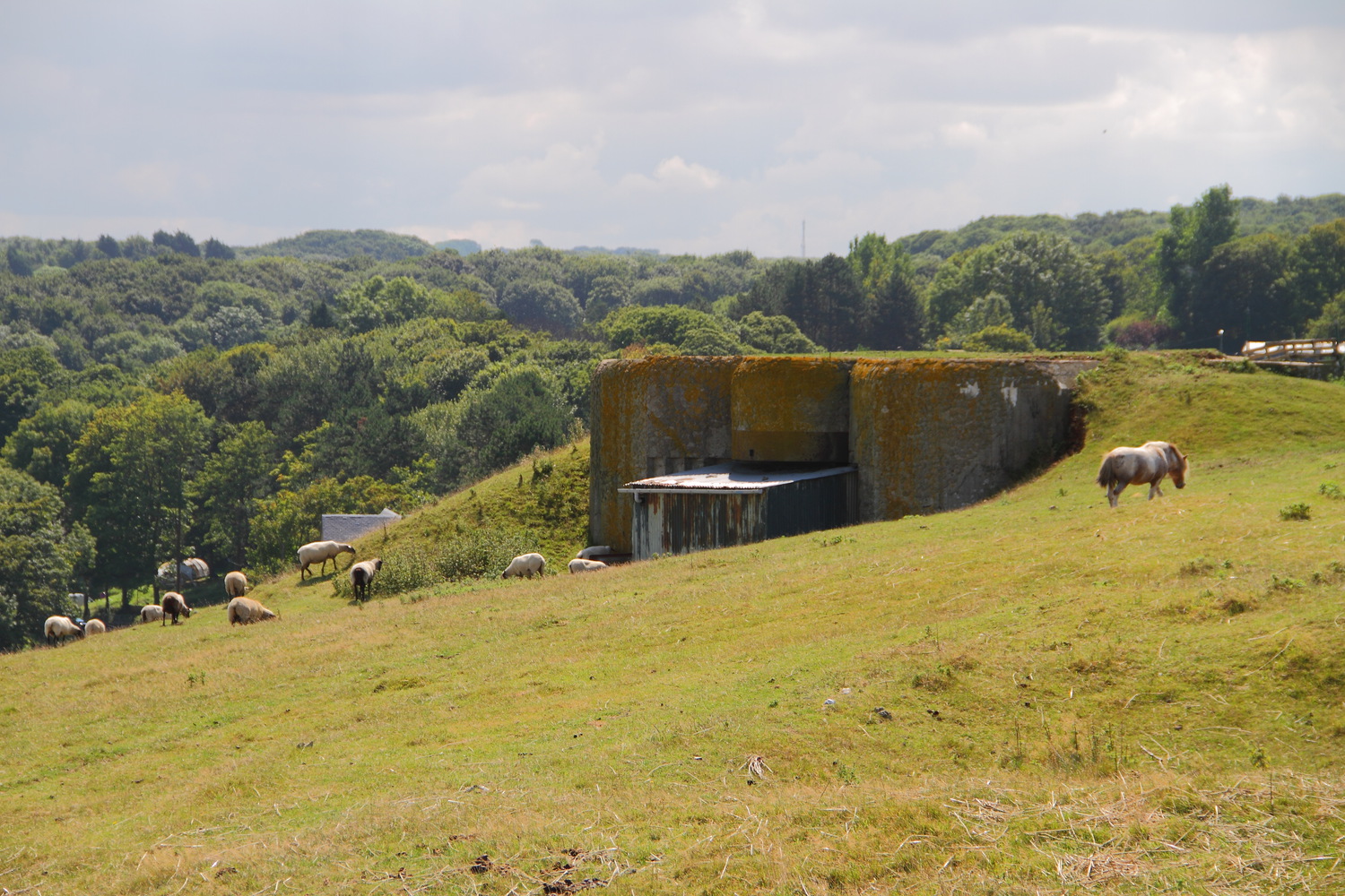 建築在地景中長時間被使用與遺忘