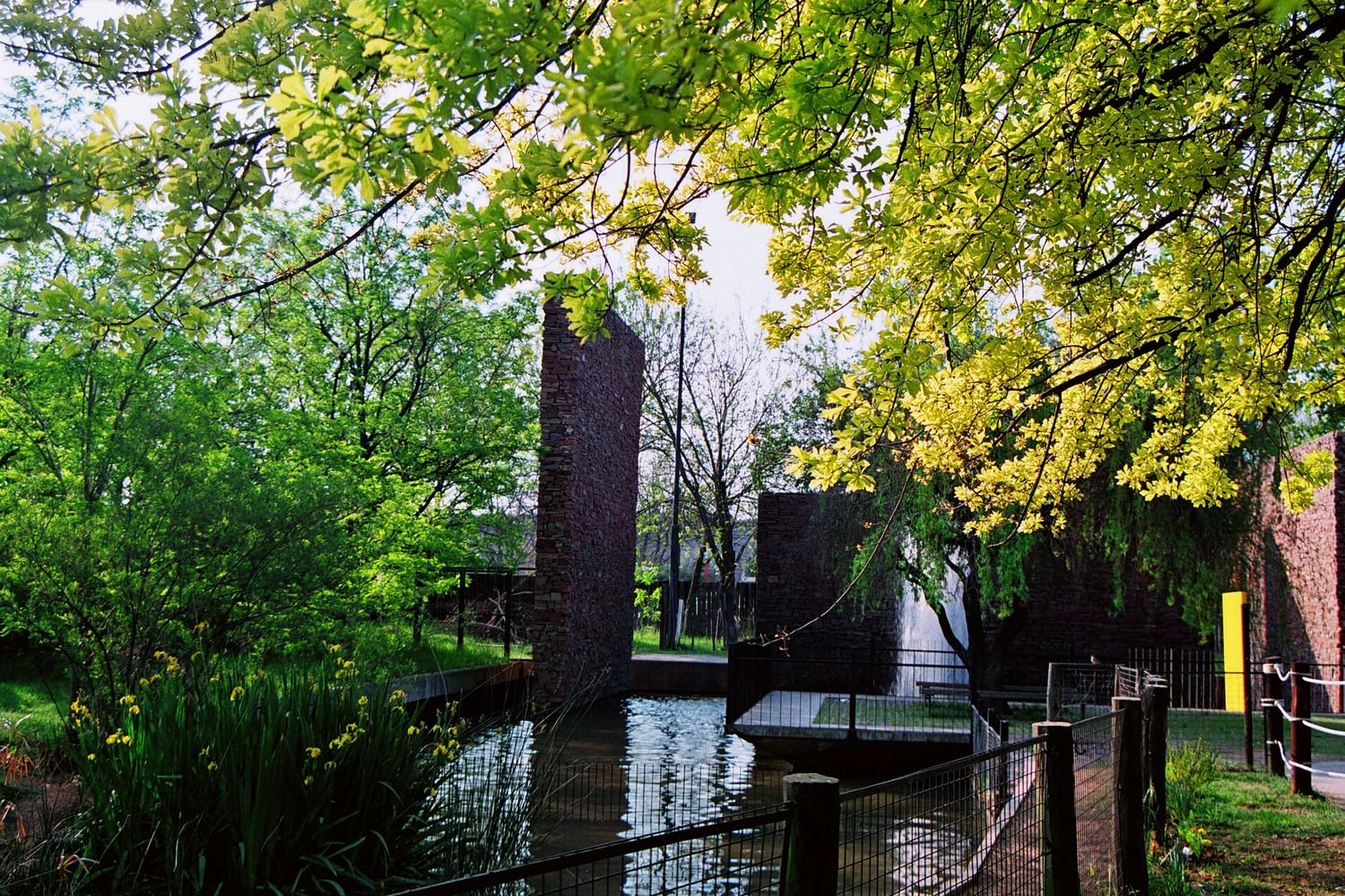 ecological garden with water elements and brick ruins integrated into natural landscape