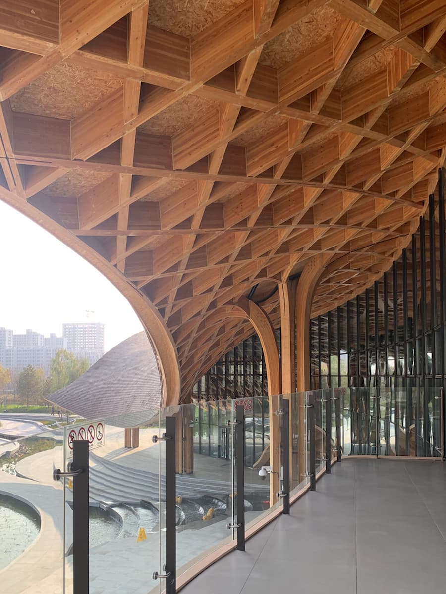 connection between glass facade and timber roof structure with natural light