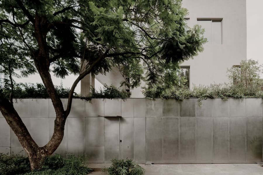 Street elevation of Barrancas House framed by mature jacaranda trees in Mexico City