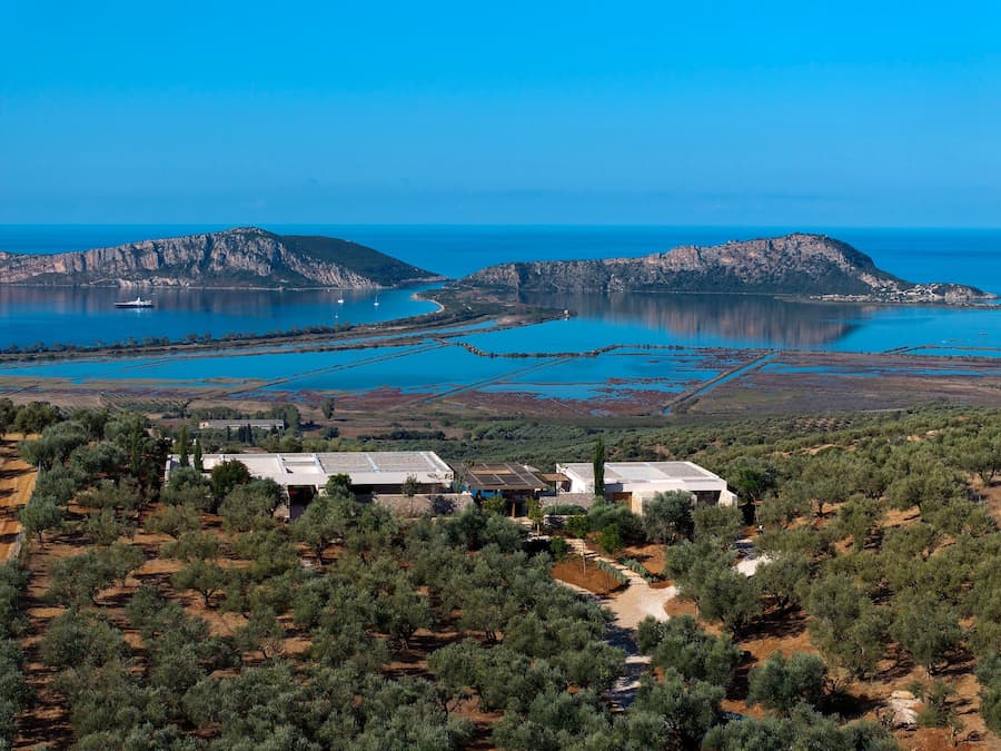 Aerial view of the residence set among olive groves above Gialova Lagoon