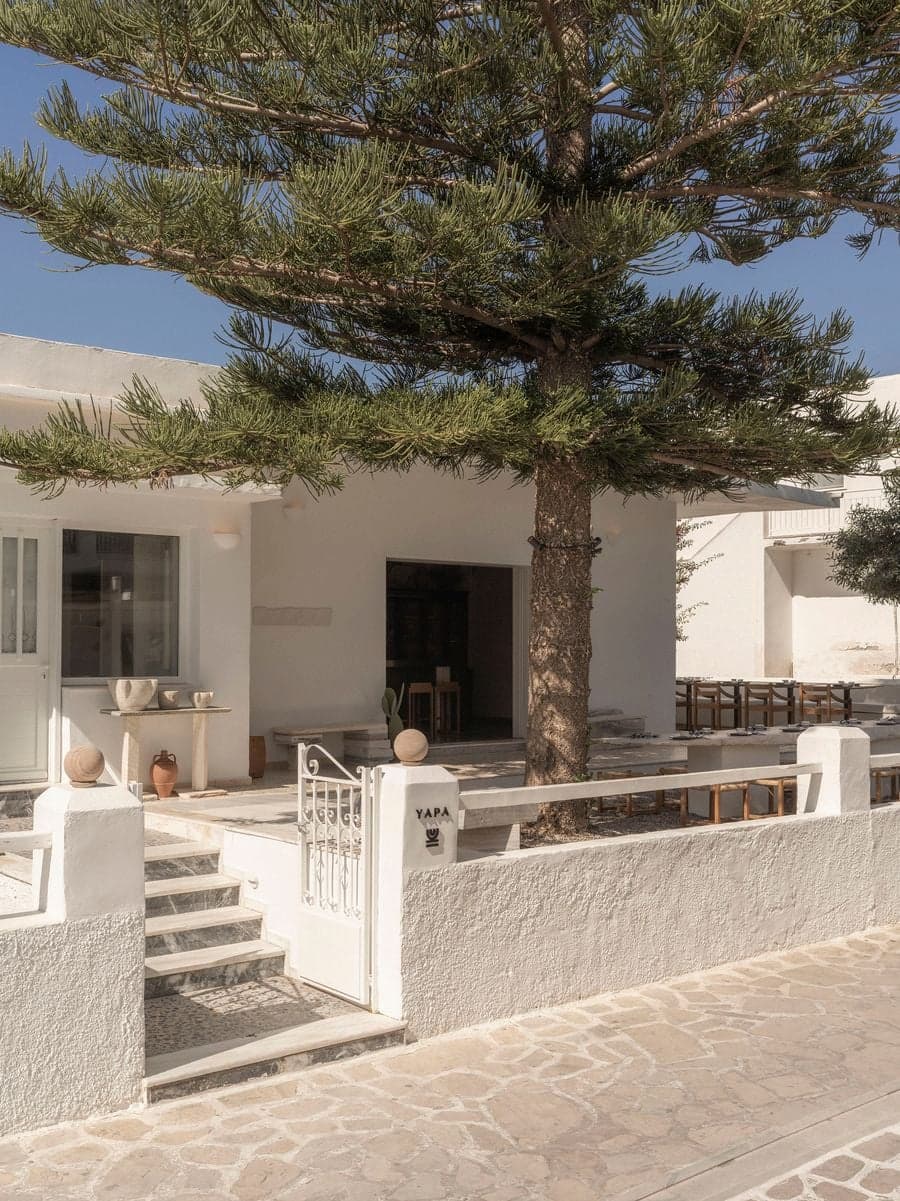 Entrance façade of YAPA Antiparos featuring restored Cycladic architecture, white plaster walls and a mature Araucaria tree