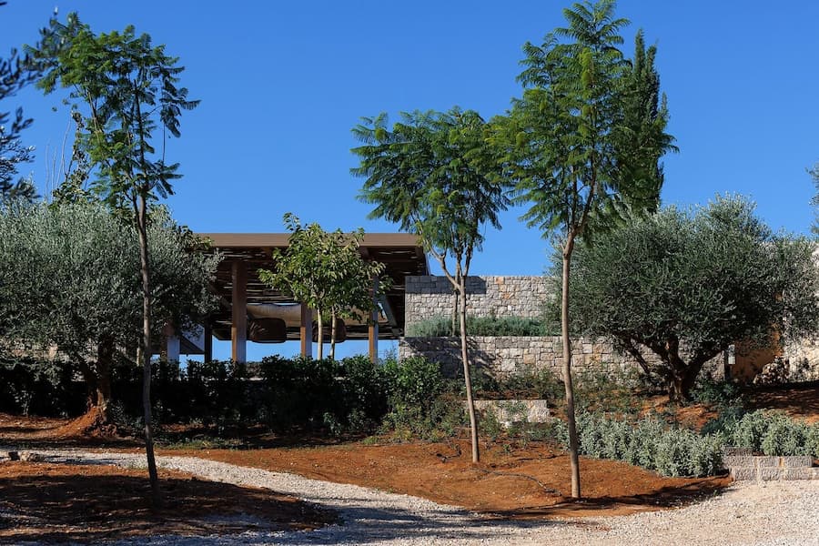 Stone garden path leading through olive trees toward the entrance pavilion