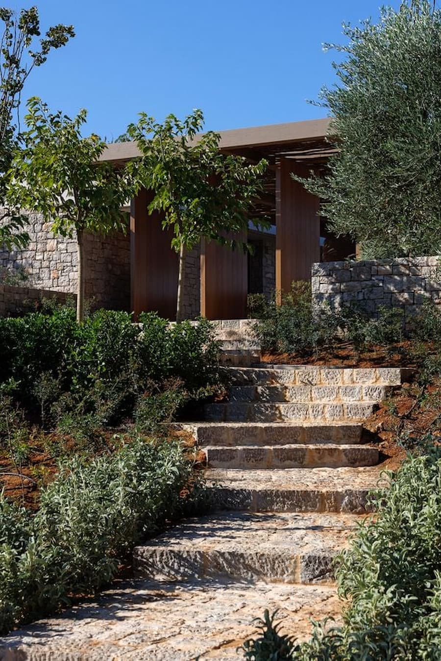 Timber pergola filtering Mediterranean sunlight across the entrance court