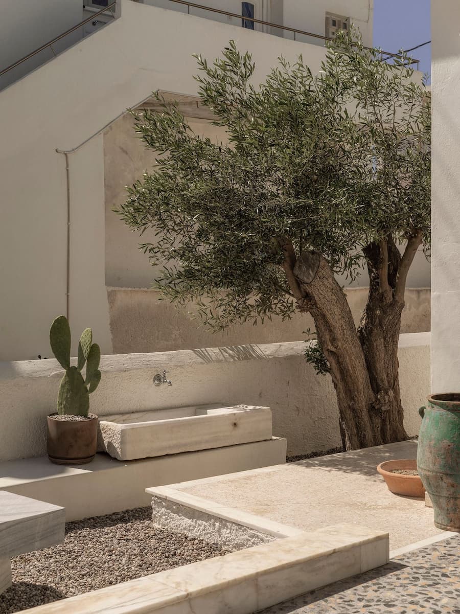 Mediterranean courtyard landscape with olive tree, marble water basin and handcrafted stone elements at YAPA Antiparos