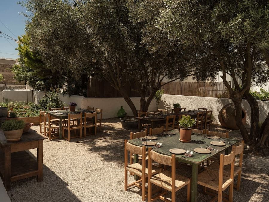 Outdoor dining garden beneath mature olive trees at YAPA Antiparos, designed for communal Mediterranean dining