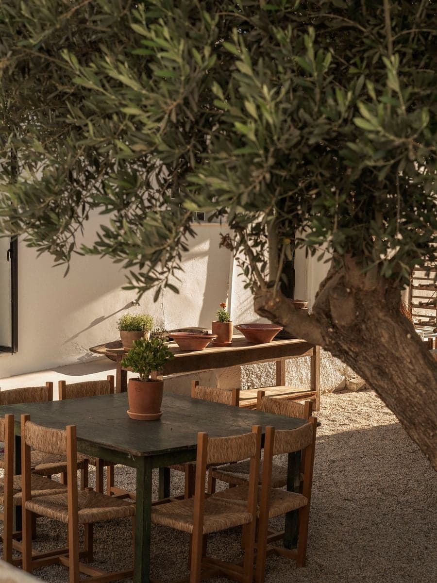 Olive tree framing handcrafted outdoor dining tables in the shaded garden at YAPA Antiparos, Greece