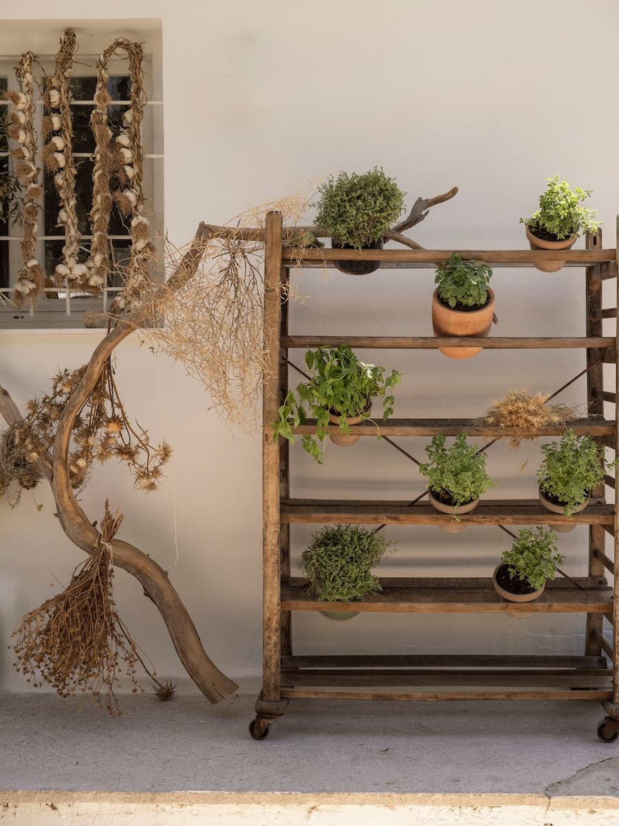 Fresh herbs displayed on a rustic wooden rack at YAPA Antiparos, highlighting the restaurant's farm-to-table philosophy