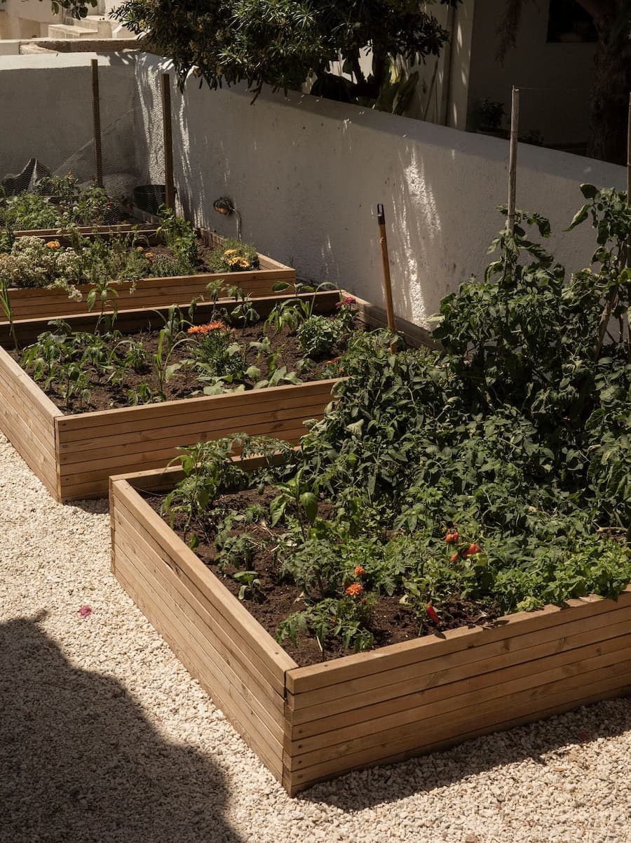 Raised kitchen garden beds growing seasonal vegetables and herbs at YAPA Antiparos, Greece