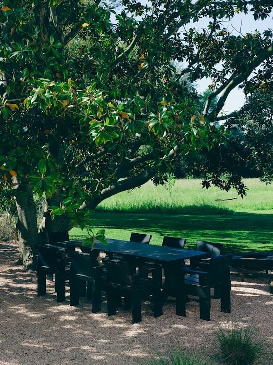Outdoor dining beneath mature magnolia trees at Villa Bank during the Casa Ideale experience