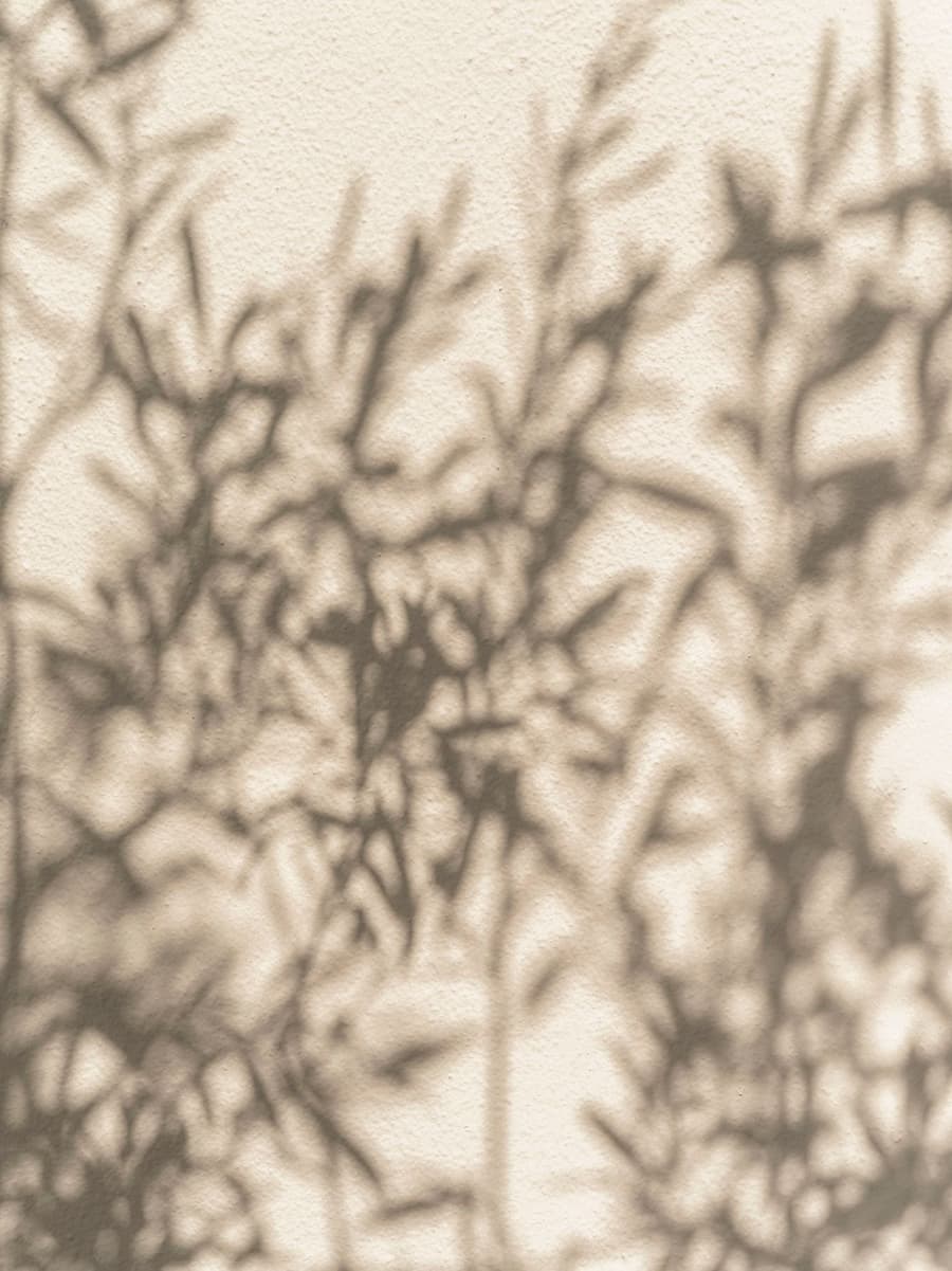 Natural light casting organic shadows across textured lime plaster walls at YAPA Antiparos, Greece