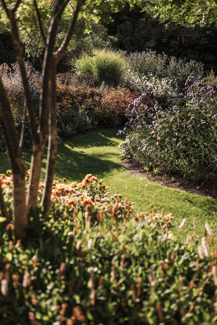 A narrow lawn path winds through layered perennial planting and mature trees in the garden