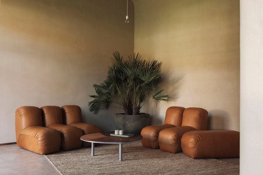 A warm-toned lounge pairs sculptural leather seating with a palm plant and low circular coffee table