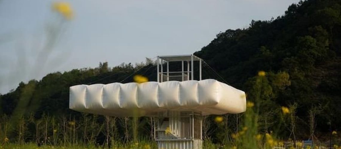 花田裡有個白色東西浮著 還不太確定是什麼