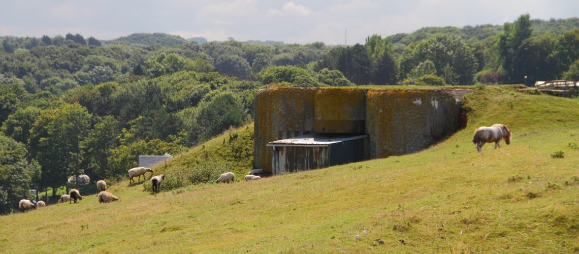 39-subsurface-material-bunker-landscape-integration-cover